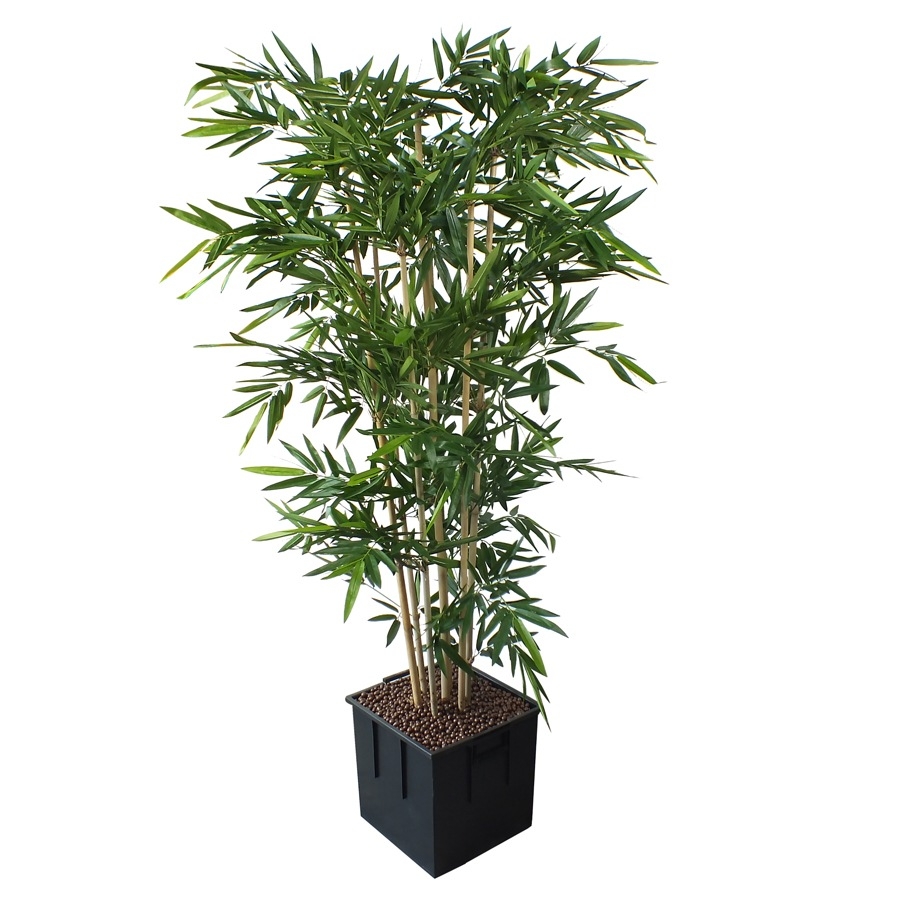 Plantes Artificielles Salle De Bain  thumbnail