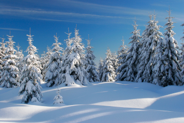 7x inspiratie voor je Winter Wonderland themafeest