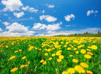 3x de leukste lente decoratie voor etalage of feest